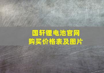 国轩锂电池官网购买价格表及图片