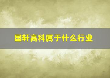 国轩高科属于什么行业