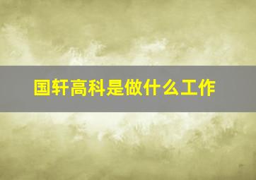 国轩高科是做什么工作