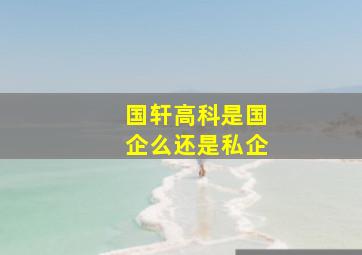 国轩高科是国企么还是私企