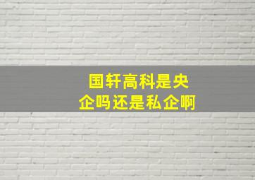 国轩高科是央企吗还是私企啊