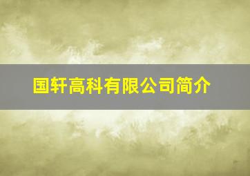 国轩高科有限公司简介