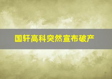 国轩高科突然宣布破产