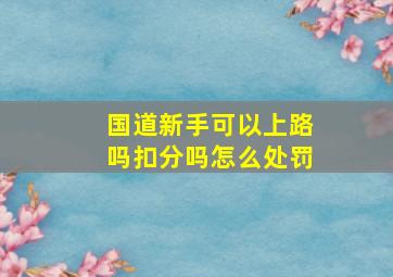 国道新手可以上路吗扣分吗怎么处罚