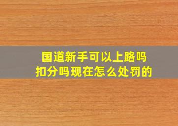 国道新手可以上路吗扣分吗现在怎么处罚的