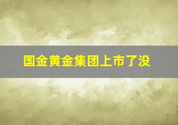 国金黄金集团上市了没