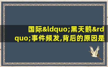 国际“黑天鹅”事件频发,背后的原因是什么