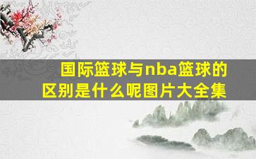 国际篮球与nba篮球的区别是什么呢图片大全集