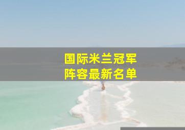 国际米兰冠军阵容最新名单