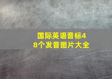 国际英语音标48个发音图片大全