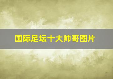 国际足坛十大帅哥图片