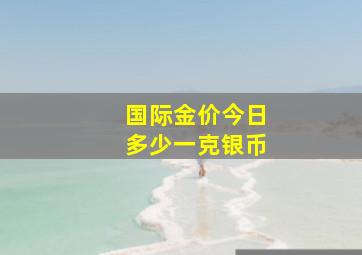 国际金价今日多少一克银币