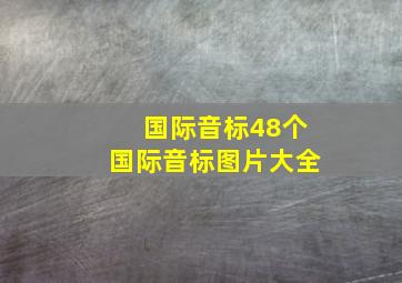 国际音标48个国际音标图片大全