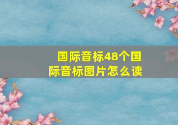 国际音标48个国际音标图片怎么读