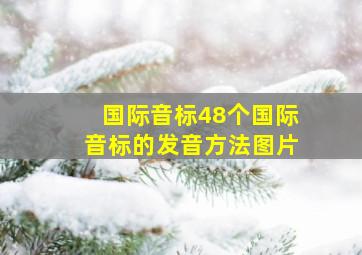 国际音标48个国际音标的发音方法图片