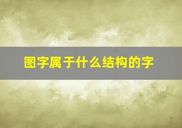 图字属于什么结构的字