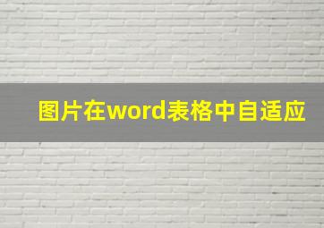 图片在word表格中自适应