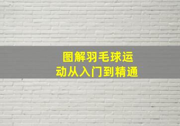 图解羽毛球运动从入门到精通