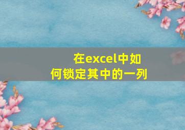 在excel中如何锁定其中的一列