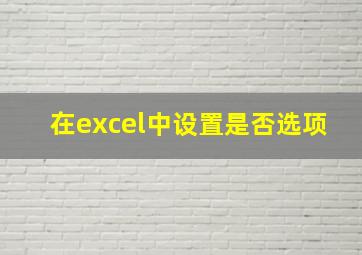 在excel中设置是否选项