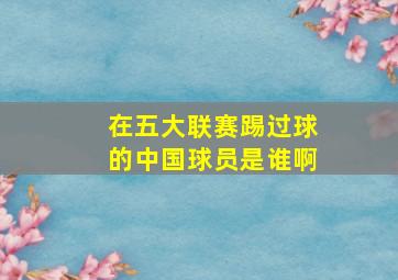 在五大联赛踢过球的中国球员是谁啊