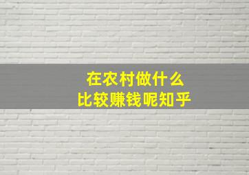 在农村做什么比较赚钱呢知乎