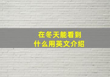 在冬天能看到什么用英文介绍