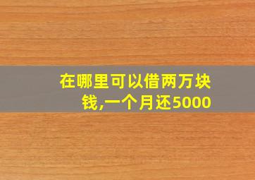 在哪里可以借两万块钱,一个月还5000