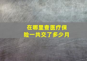 在哪里查医疗保险一共交了多少月