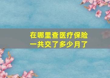 在哪里查医疗保险一共交了多少月了