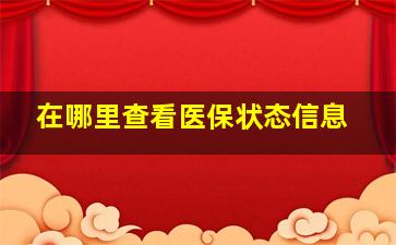 在哪里查看医保状态信息