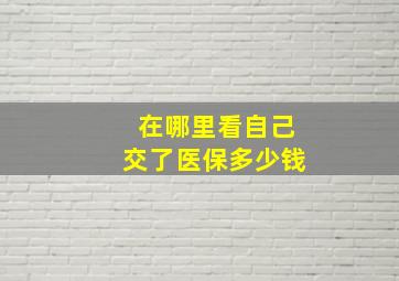 在哪里看自己交了医保多少钱