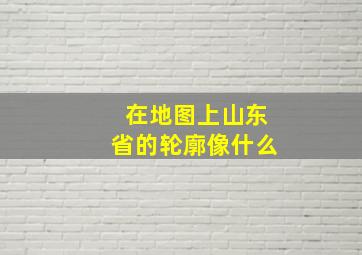 在地图上山东省的轮廓像什么