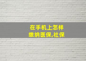 在手机上怎样缴纳医保,社保