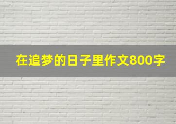 在追梦的日子里作文800字