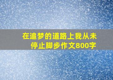 在追梦的道路上我从未停止脚步作文800字