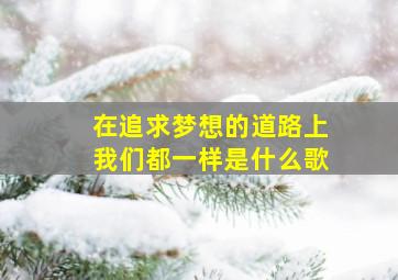 在追求梦想的道路上我们都一样是什么歌