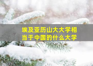 埃及亚历山大大学相当于中国的什么大学