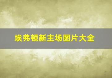 埃弗顿新主场图片大全