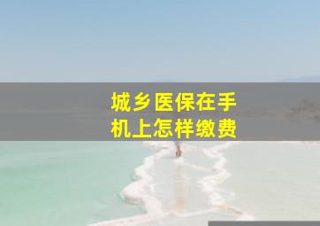 城乡医保在手机上怎样缴费