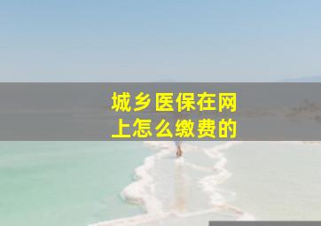 城乡医保在网上怎么缴费的