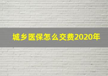 城乡医保怎么交费2020年