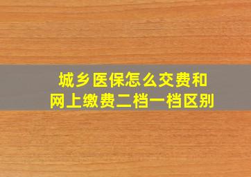 城乡医保怎么交费和网上缴费二档一档区别