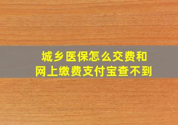 城乡医保怎么交费和网上缴费支付宝查不到