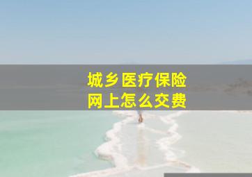 城乡医疗保险网上怎么交费