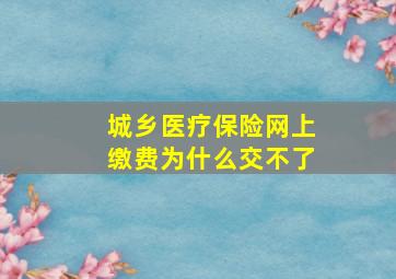 城乡医疗保险网上缴费为什么交不了