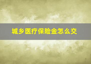 城乡医疗保险金怎么交