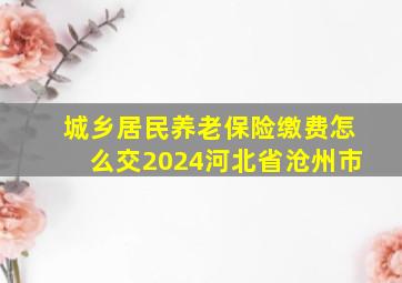 城乡居民养老保险缴费怎么交2024河北省沧州市