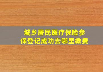 城乡居民医疗保险参保登记成功去哪里缴费