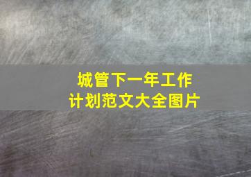 城管下一年工作计划范文大全图片